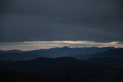 DSC_0157 (Large).JPG